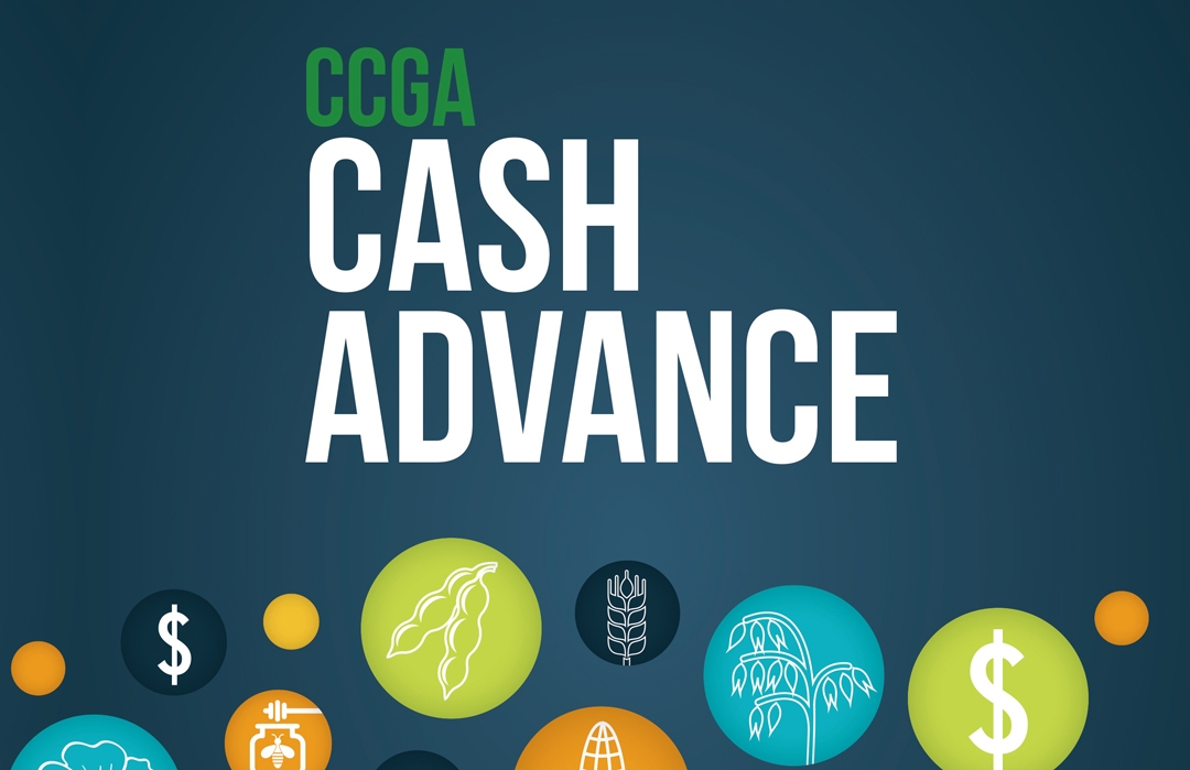 CCGA marketing materials designed by 6P Marketing