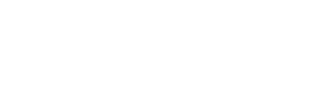 Yes Winnipeg white logo