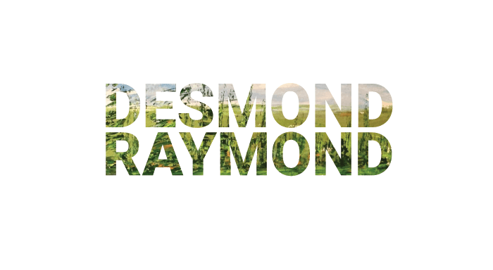 Desmond Raymond logo designed by 6P Marketing