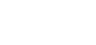Handyman Connection white logo