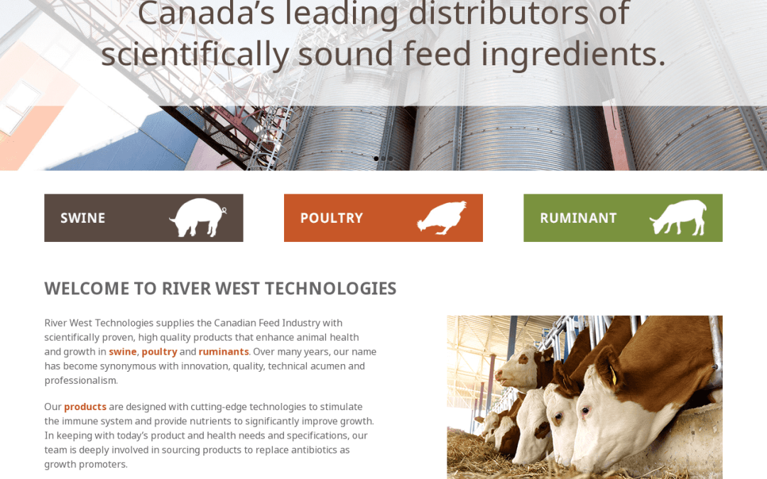 Website for River West Technologies