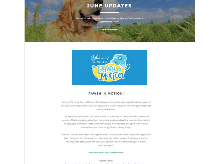 Email Newsletter for Paws in Motion