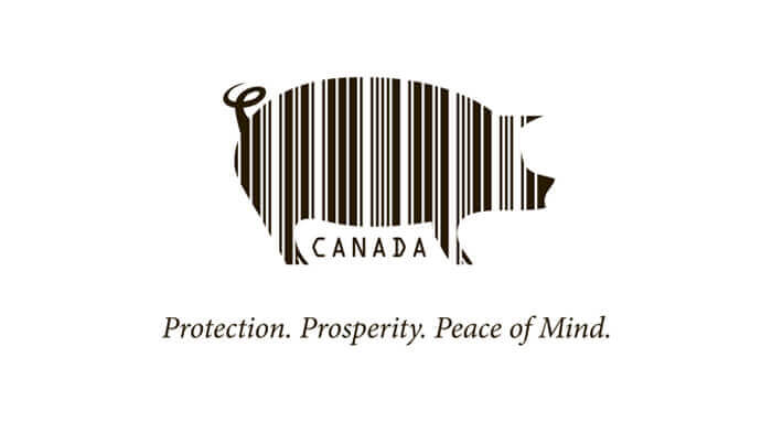 Logo Design for Pig Trace