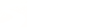 Sigfusson Northern white logo