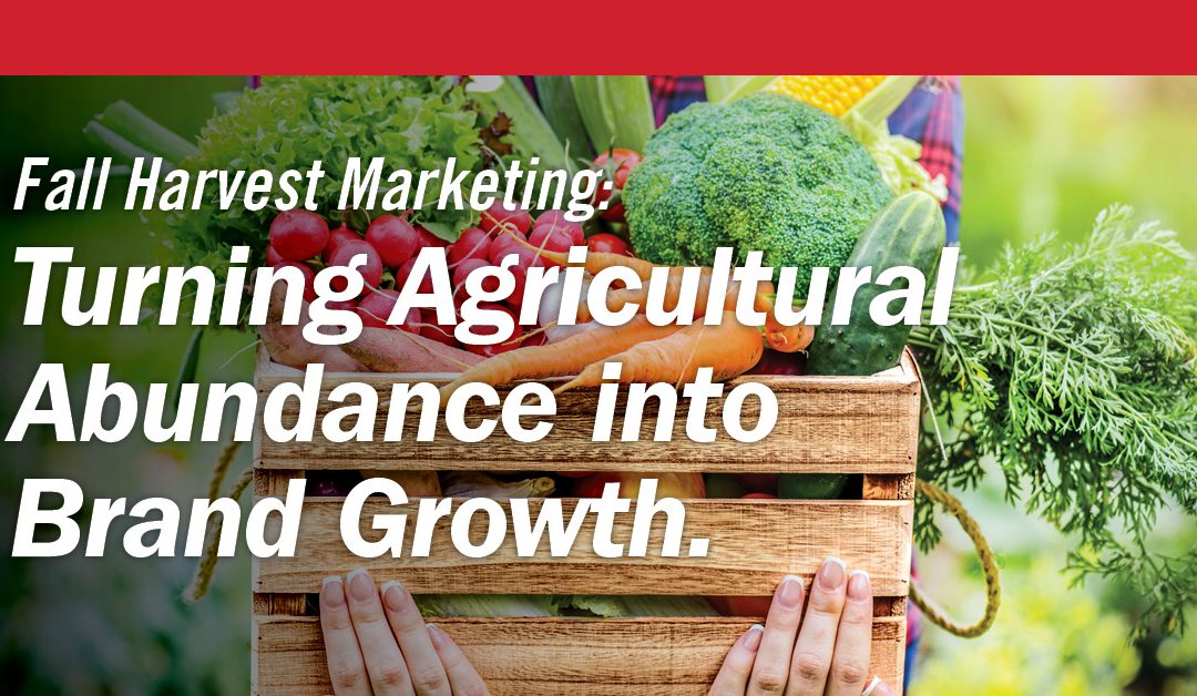 Fall Harvest Marketing: Turning Agricultural Abundance into Brand Growth