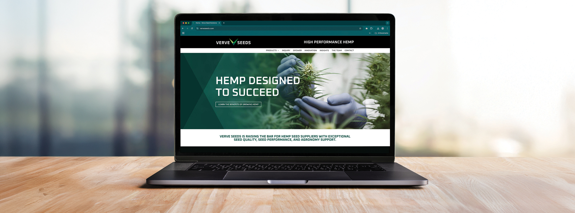 Header image with a Verve Seeds Website