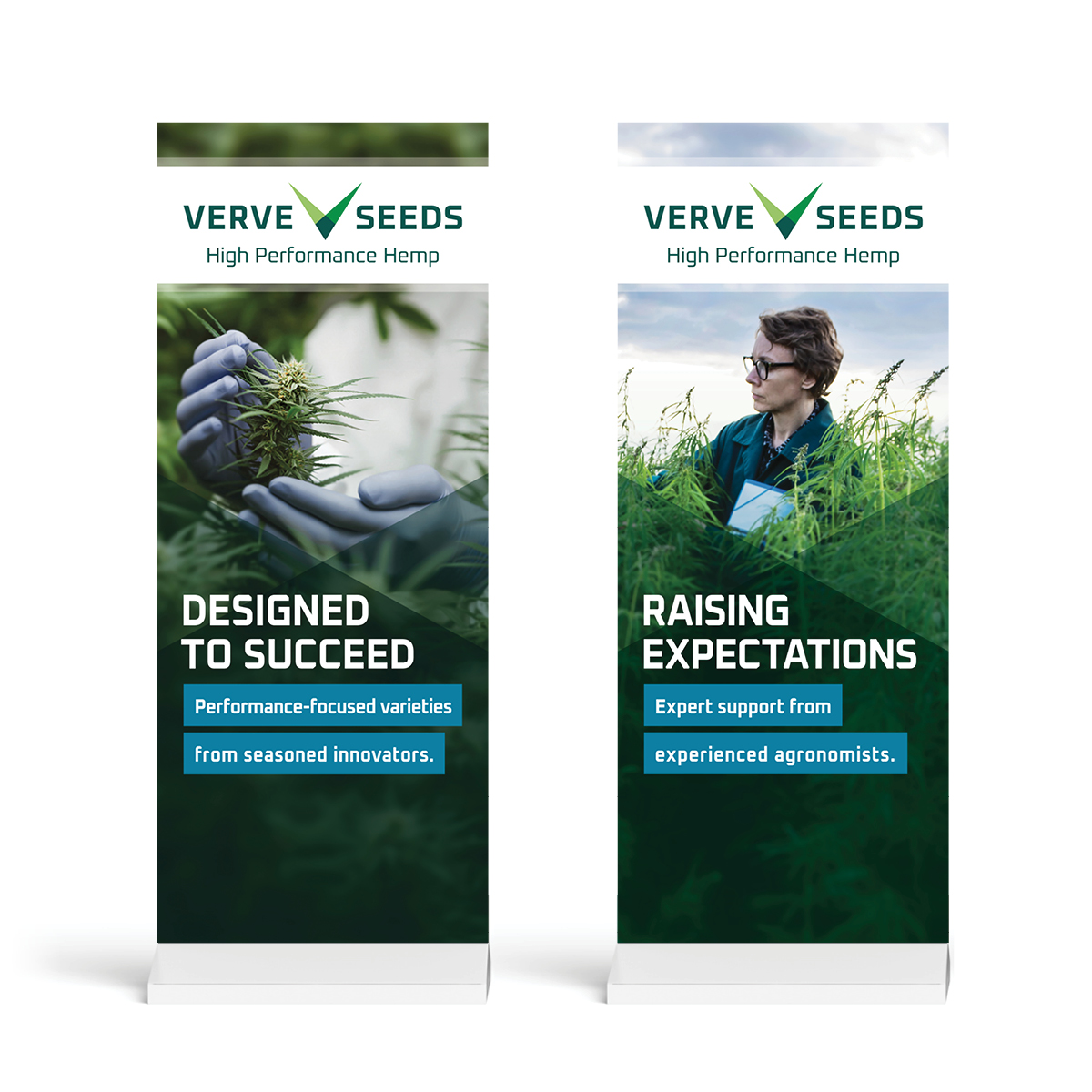 Previous Verve Seeds rebrand works