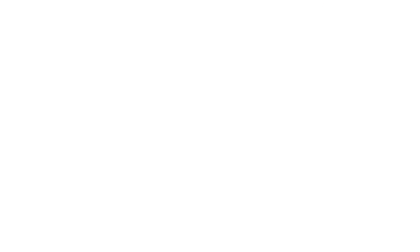 Reseauwhite logo