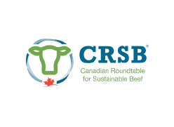 Logo CRSB