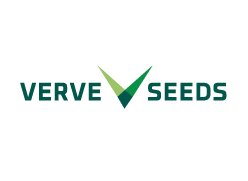 Logo Verve Seeds