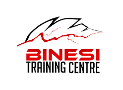 Logo Binesi
