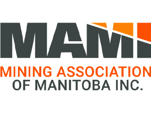 Logo MAMI